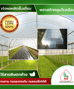 พลาสติกคลุมโรงเรือนใส UV 7% (แบ่งขาย)