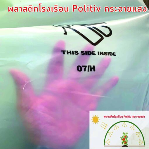 พลาสติกคลุมโรงเรือน Politiv กระจายแสง (นำเข้าจากอิสราเอล)