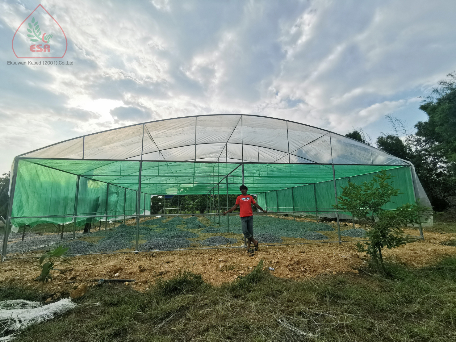 โรงเรือนลูกค้าจริง พลาสติกโรงเรือน UV7%