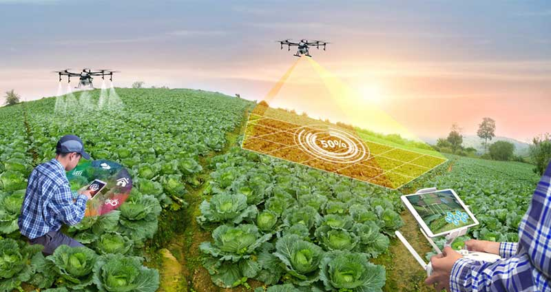 ความสำคัญของ Smart Farm ในปัจจุบัน