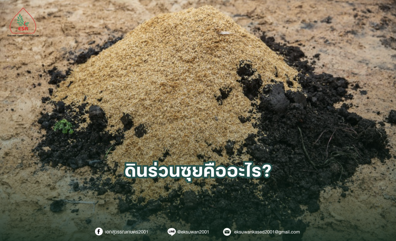 ดินร่วนซุยคืออะไร?