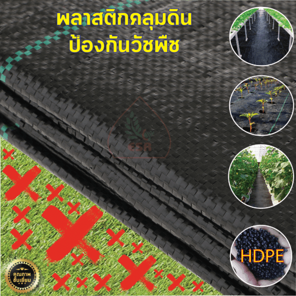 ประเภทของพลาสติกคลุมดินที่เหมาะกับผักกินใบ