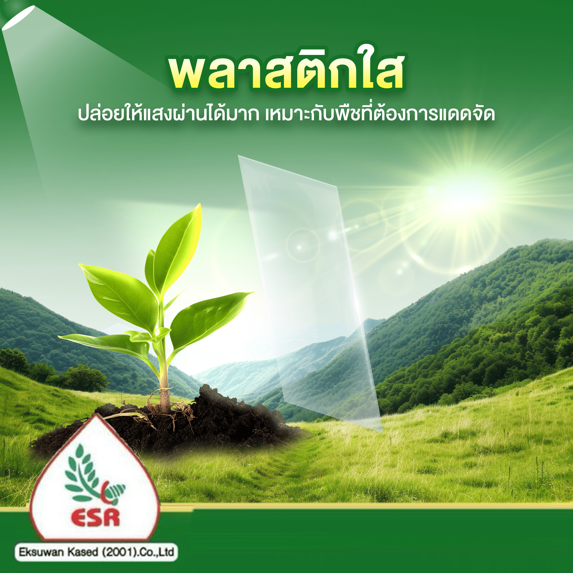 พลาสติกโรงเรือนสีใส