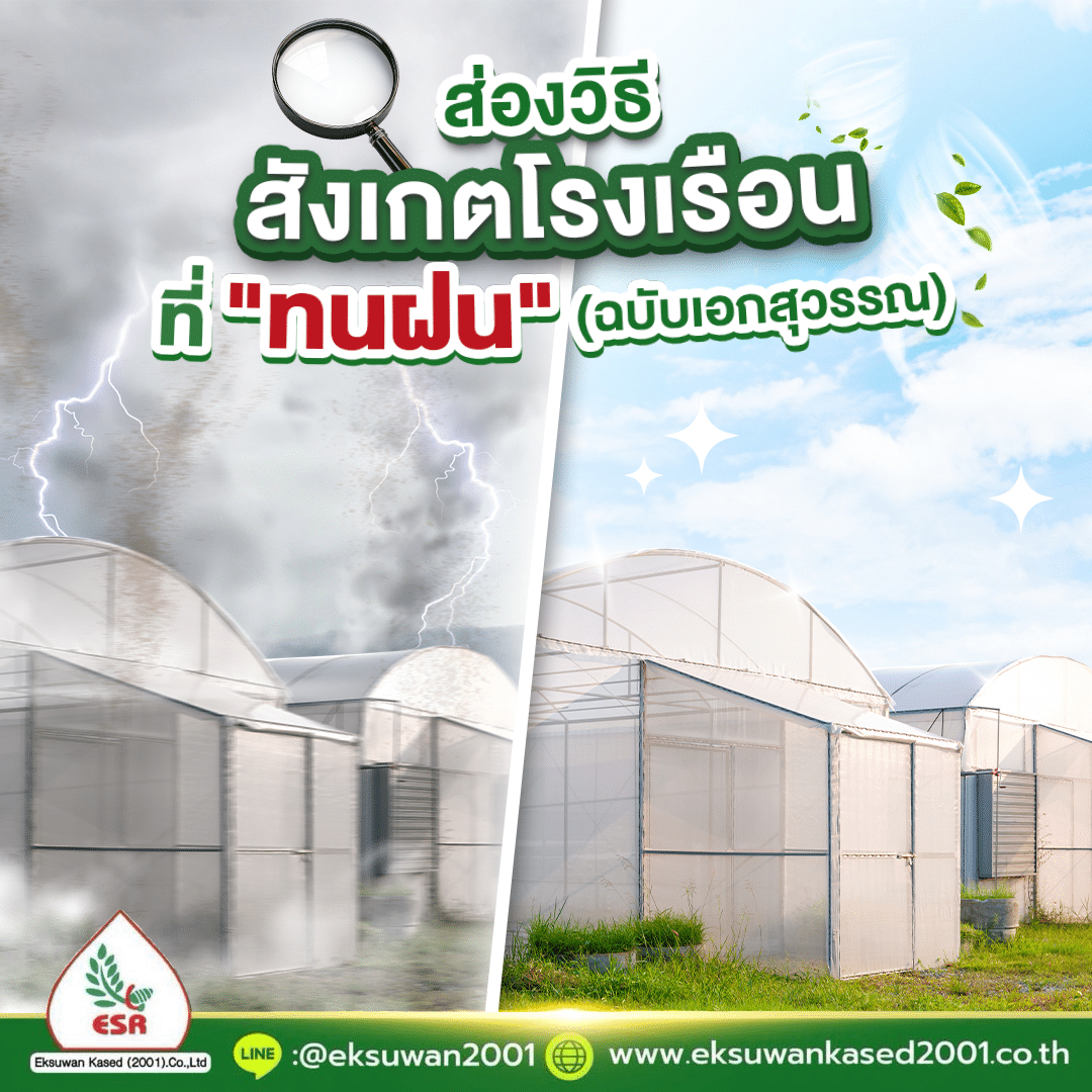 การเลือกพลาสติกโรงเรือนให้เหมาะสม