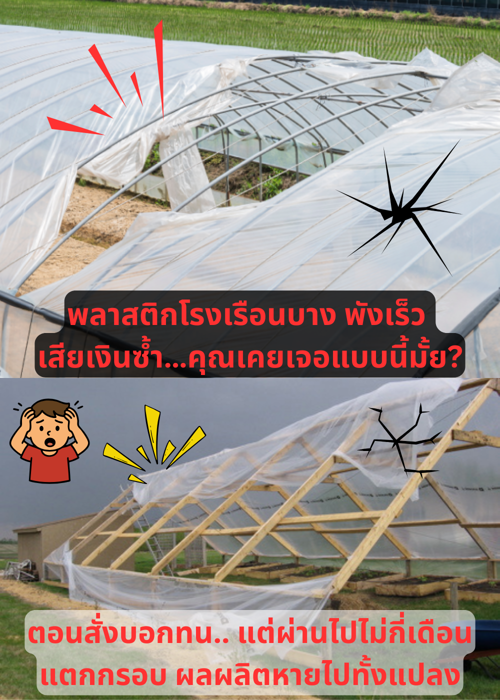 พลาสติกโรงเรือนเสียหาย