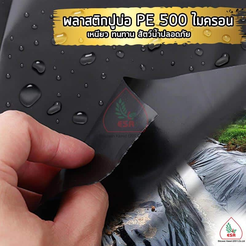 พลาสติกปูบ่อ PE คืออะไร 