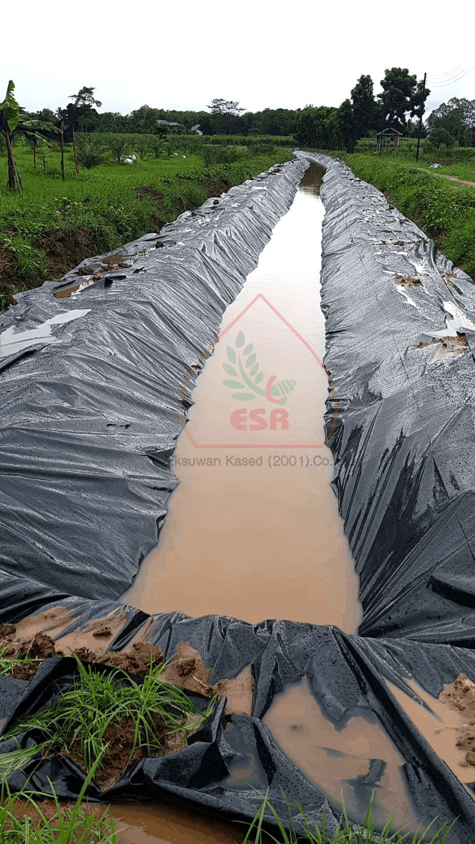 พลาสติกปูบ่อหนาแค่ไหนถึงพอสำหรับบ่อเชิงพาณิชย์