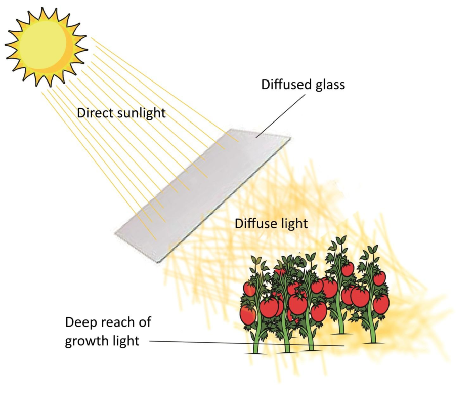 3. เลือกชนิดพลาสติกไม่ตรงกับพืช