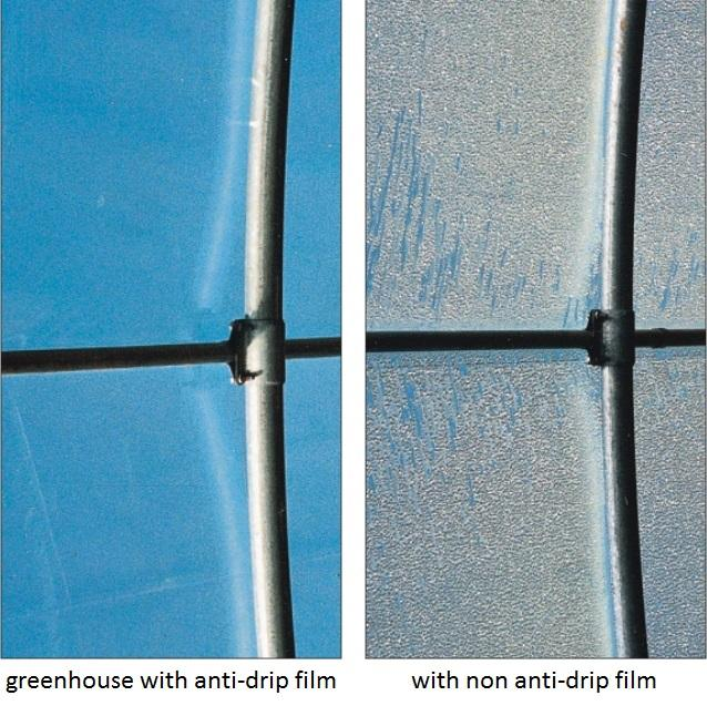 5. เลือกของถูกโดยไม่ดูอายุการใช้งานจริง