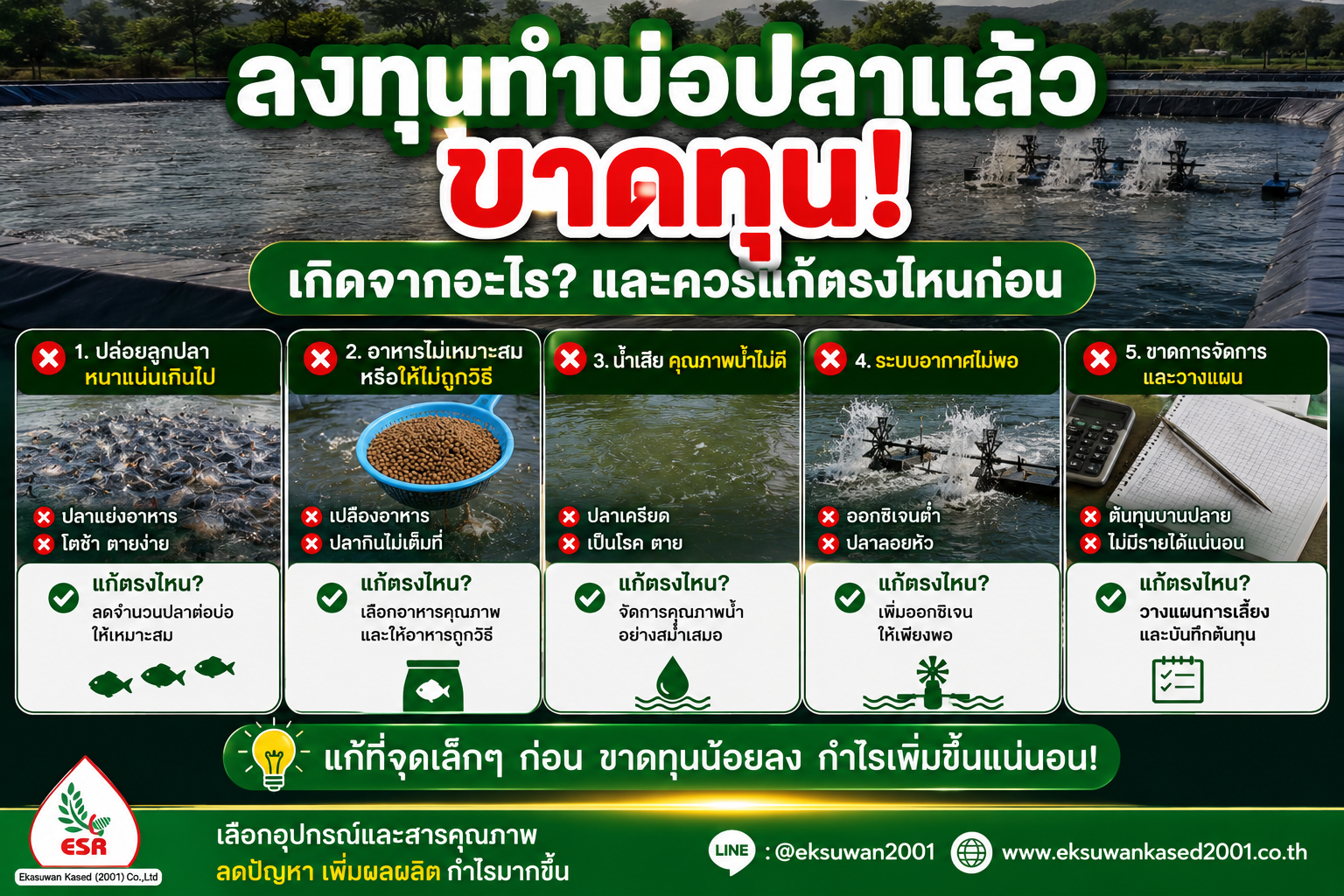 ทำไมทำบ่อปลาแล้วขาดทุน