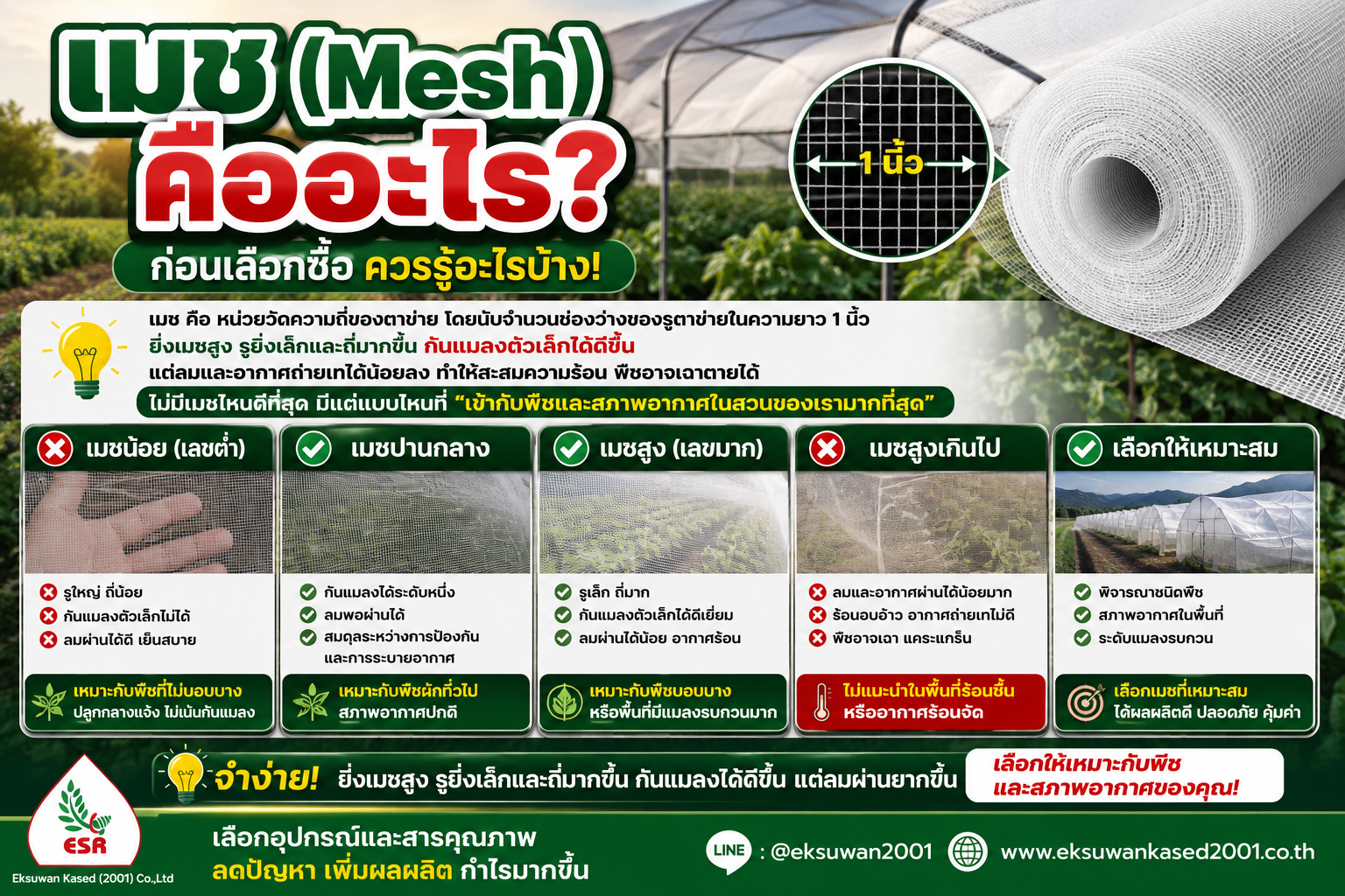 Mesh คืออะไร?