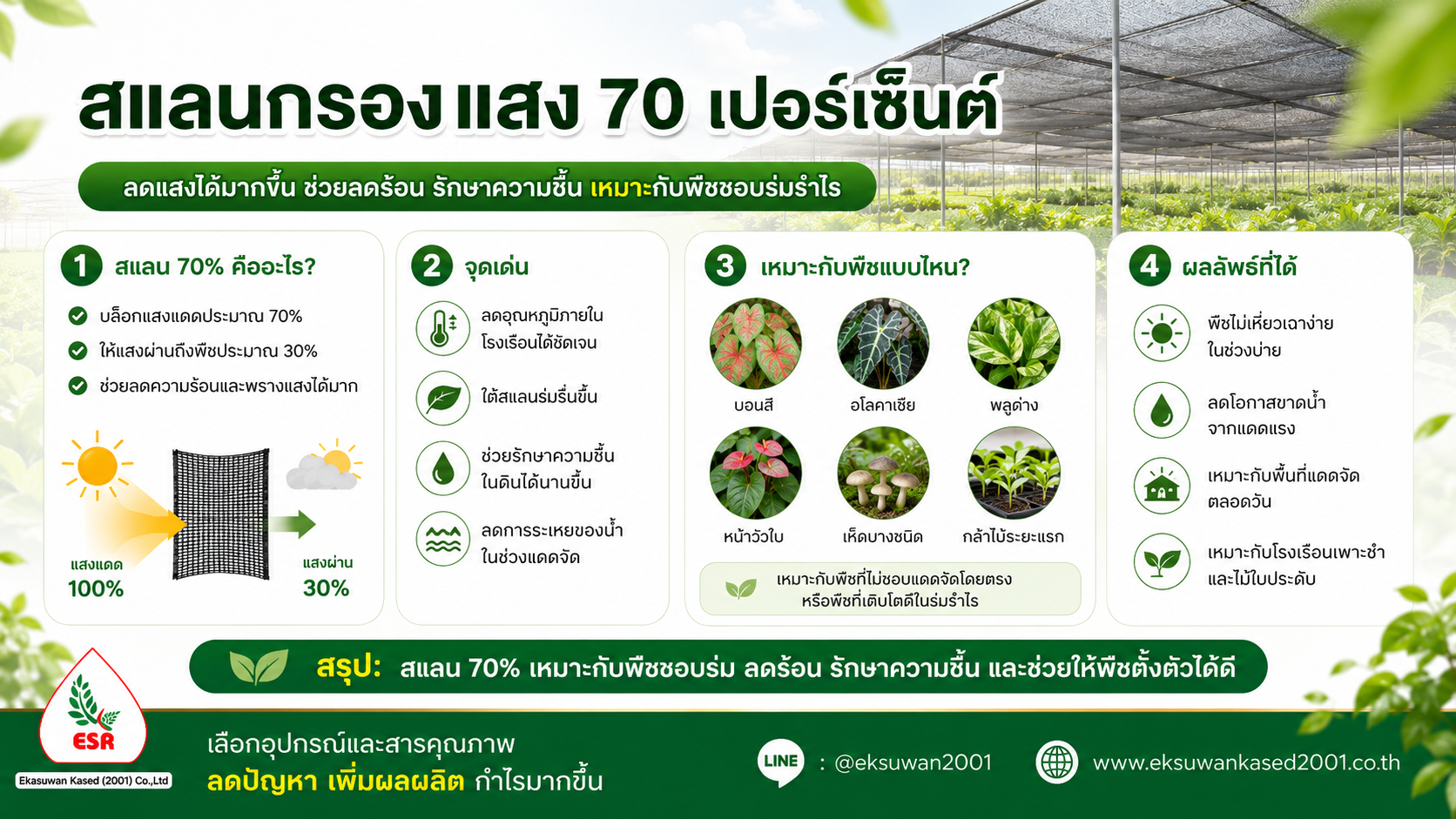 สแลนกรองแสง 70 เปอร์เซ็นต์