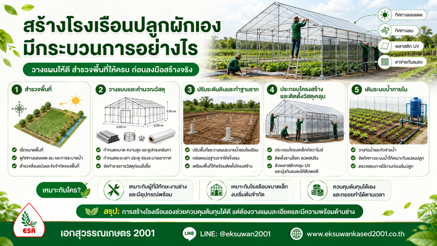 สร้างโรงเรือนปลูกผักเอง มีกระบวนการอย่างไร