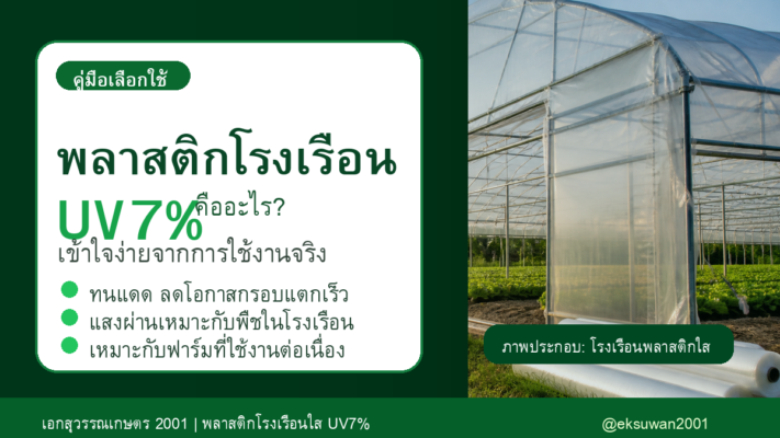 พลาสติกโรงเรือน UV7% คืออะไร และช่วยอะไรกับโรงเรือนจริง