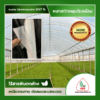 พลาสติกโรงเรือนใส UV7% เกรดพรีเมี่ยม เอกสุวรรณเกษตร สำหรับคลุมโรงเรือนเกษตร รับประกัน 2 ปี