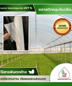 พลาสติกโรงเรือนใส UV7% เกรดพรีเมี่ยม เอกสุวรรณเกษตร สำหรับคลุมโรงเรือนเกษตร รับประกัน 2 ปี
