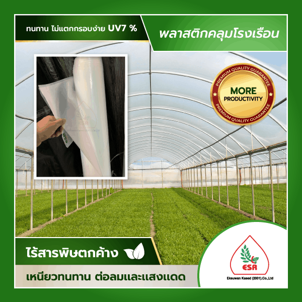 พลาสติกโรงเรือนใส UV7% เกรดพรีเมี่ยม เอกสุวรรณเกษตร สำหรับคลุมโรงเรือนเกษตร รับประกัน 2 ปี