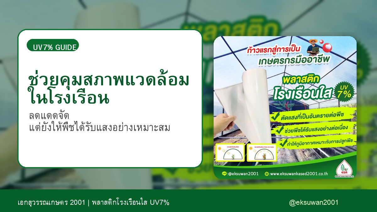 พลาสติกโรงเรือน UV7% ช่วยคุมสภาพแวดล้อมในโรงเรือน