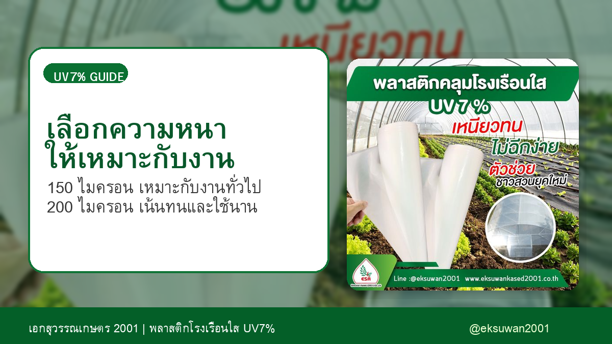 เลือกความหนาพลาสติกโรงเรือนให้เหมาะกับงาน